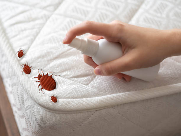 Best Residential Pest Control  in Tamalpais Homestead Valley, CA